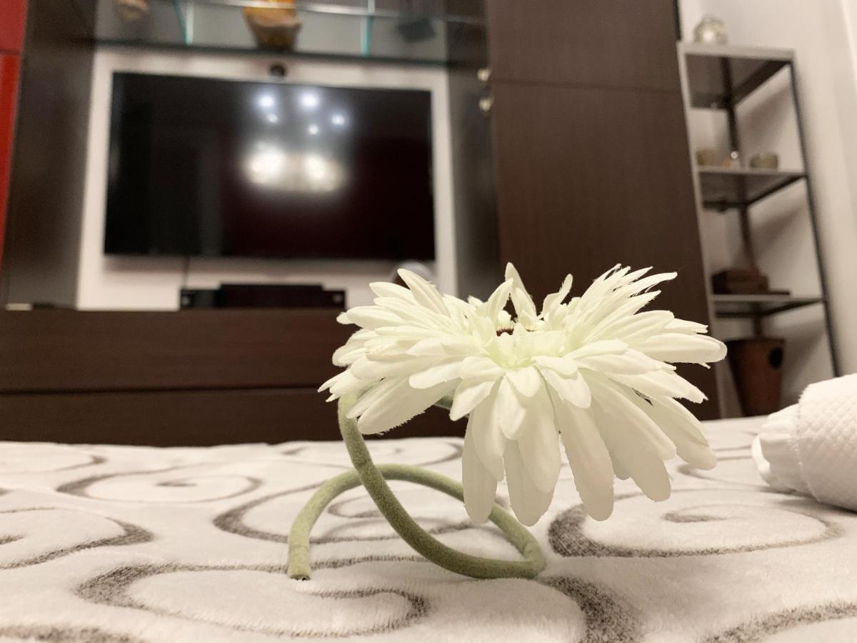 ミラノ Sansiro47 Bed & Breakfast エクステリア 写真